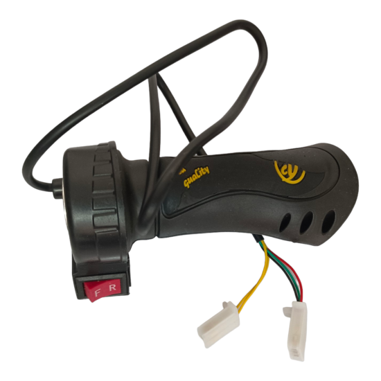 electric motorcycle controls featuring throttle and accelerator